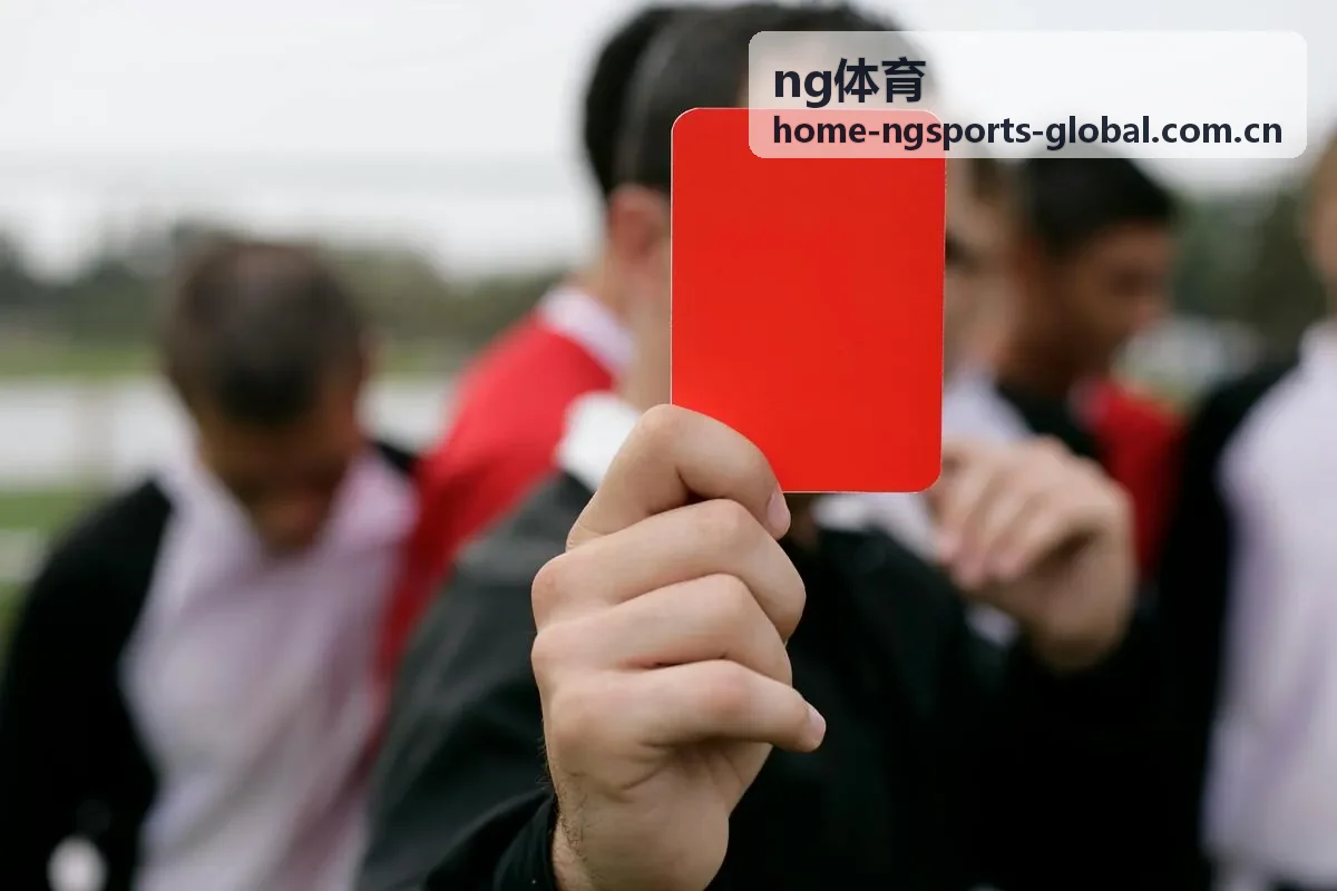 ng体育社区球迷活动案例